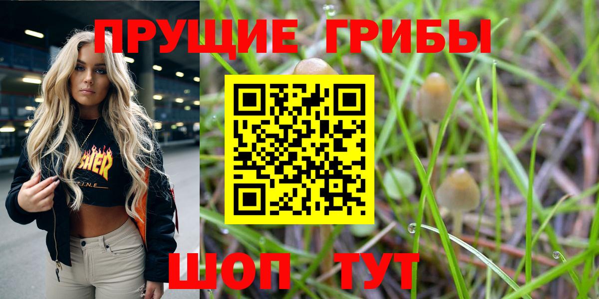 Галлюциногенные грибы мухоморы  Вход с VPN  Кашира 